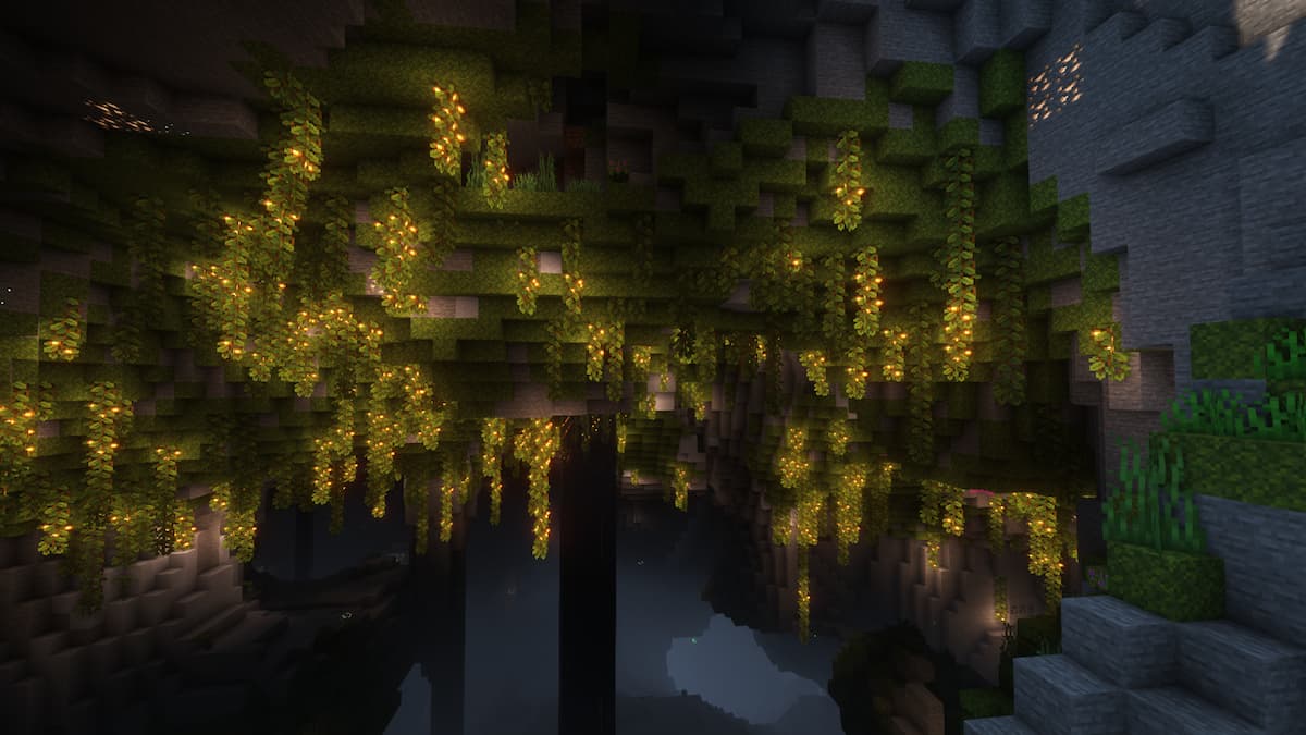 Minecraft cave biome